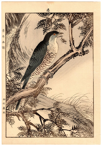 FIR AND CUCKOO (Imao Keinen)
