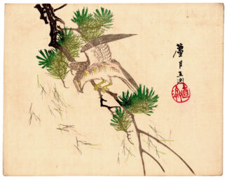 HAWK ON A PINE BRANCH (Nakagawa Rogetsu)