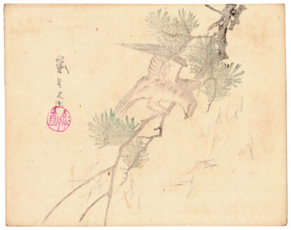 HAWK ON A PINE BRANCH (Nakagawa Rogetsu)