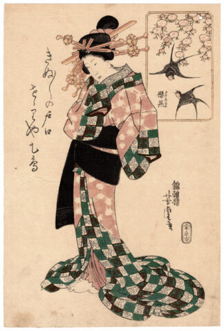 CHERRY BLOSSOMS AND SWALLOWS (Utagawa Yoshitora)